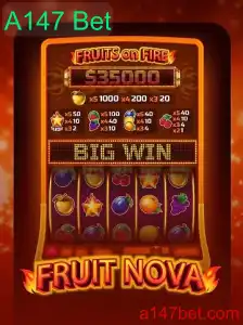 Descubra o Encantador Mundo de FruitNova e A147 Bet